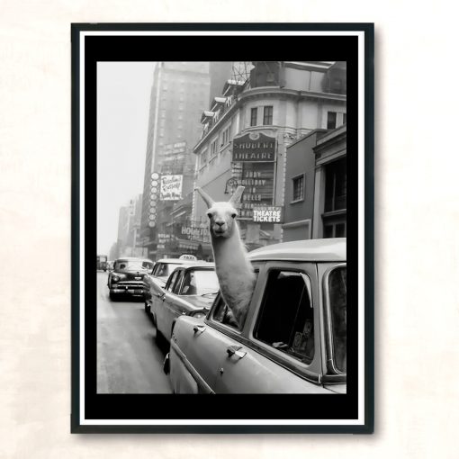 Llama Riding In Taxi Vintage Wall Poster